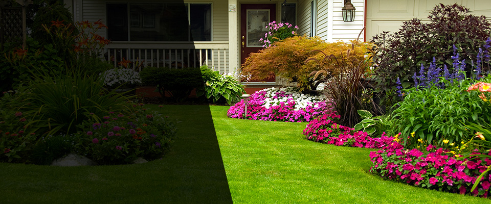 Horton Landscapers
