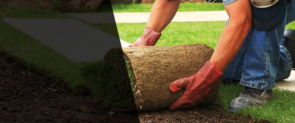 Horton Landscapers